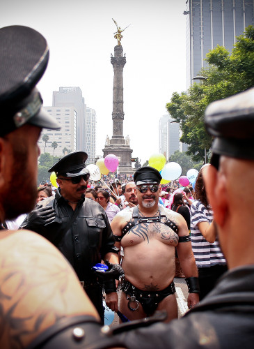 Marcha LGBTI México 1