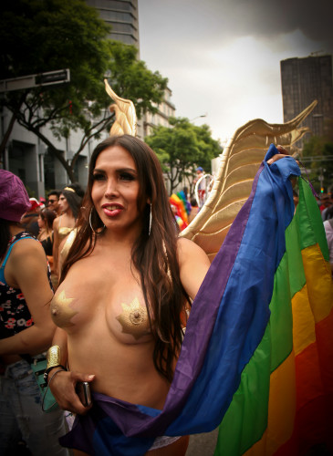 Marcha LGBTI México 10