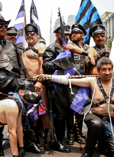 Marcha LGBTI México 17