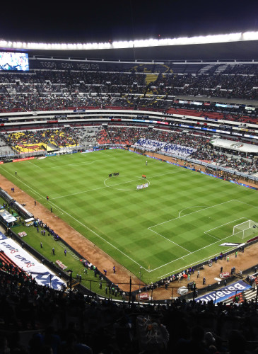 Afición en el azteca-14