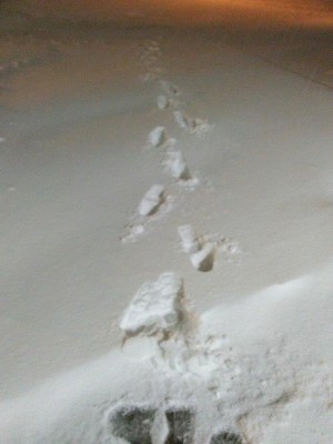 Nieve5