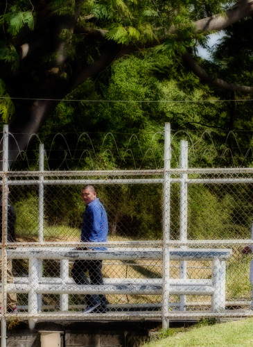 Deportados, El Salvador, Revista FACTUM