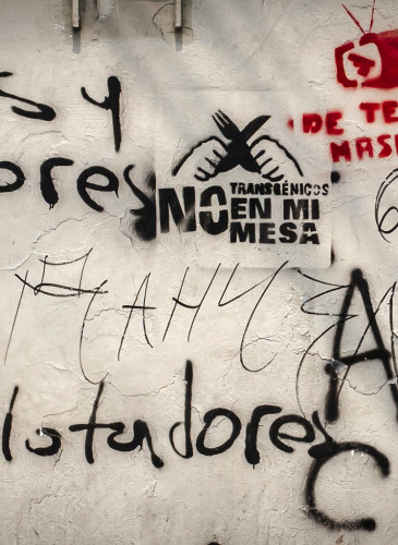FACTUM_Grafittis_011