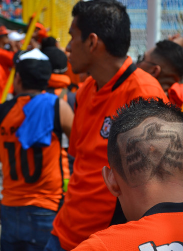 aguila dragon-7