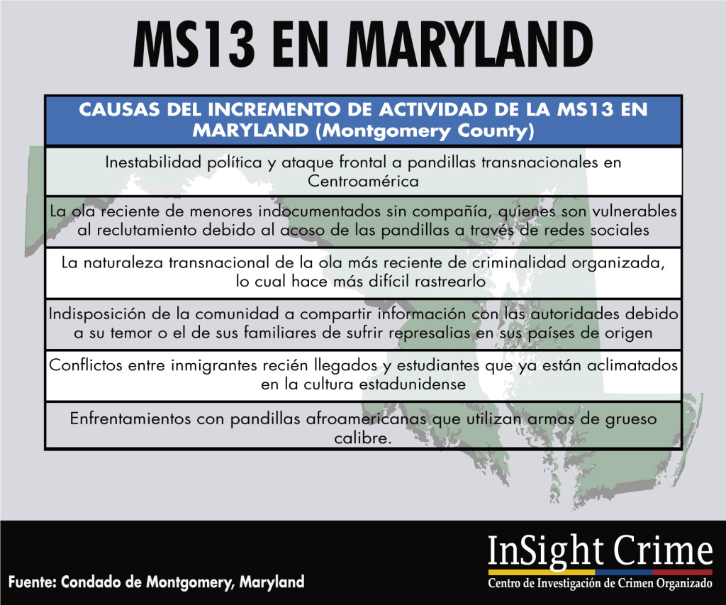 info-ms132-espanol